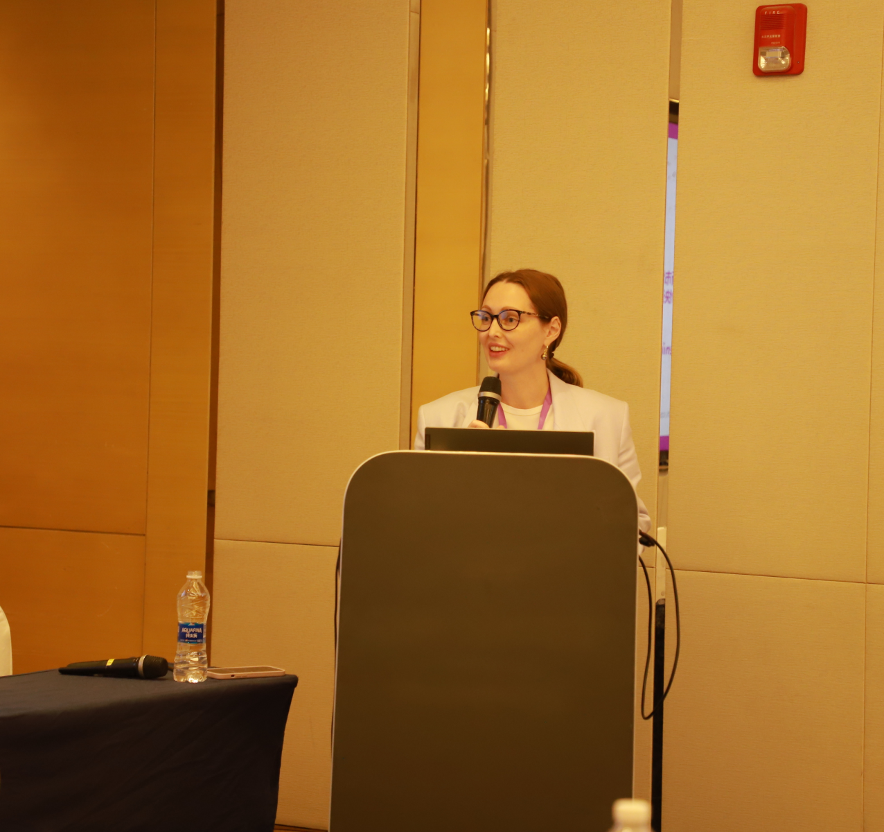 Стенина_БМ25